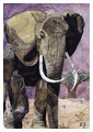 Elephant-2-1998.jpg